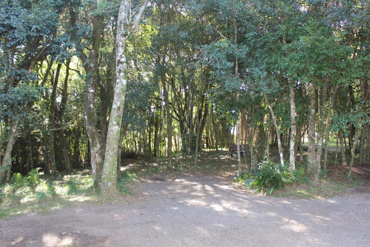 Pousada Floresta Negra Canela Exterior foto