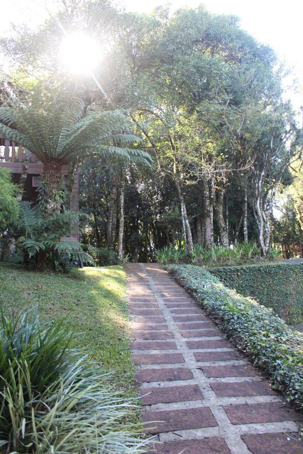 Pousada Floresta Negra Canela Exterior foto