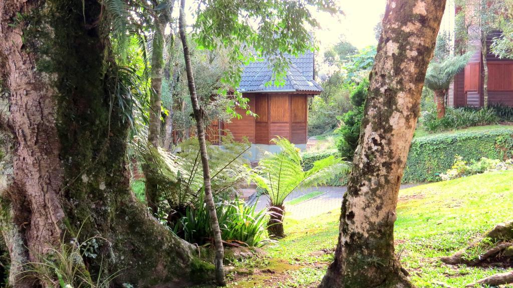 Pousada Floresta Negra Canela Exterior foto