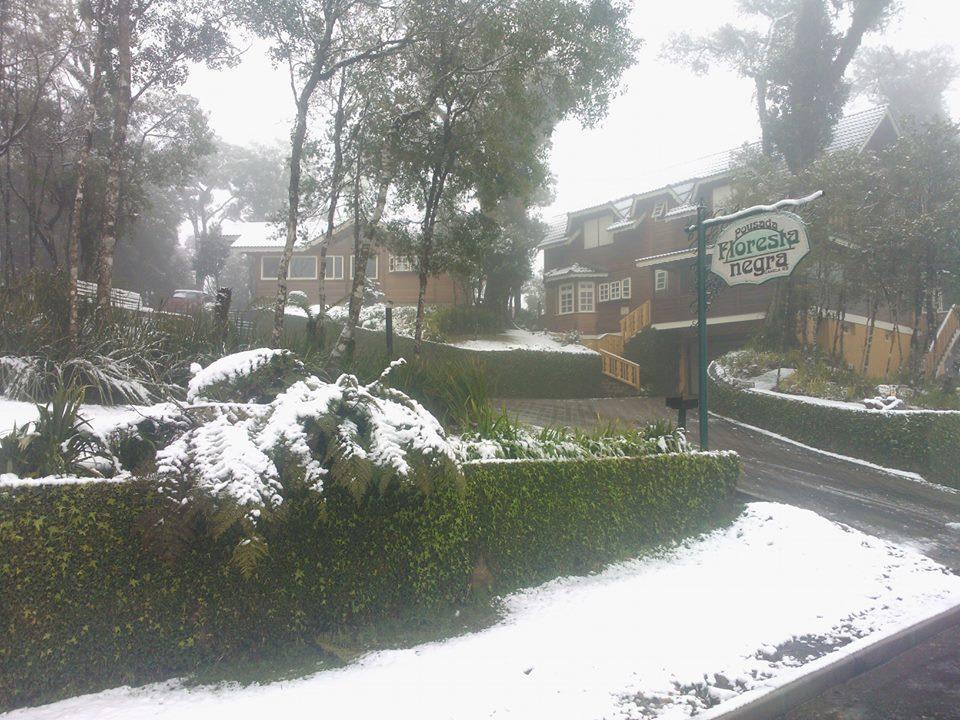 Pousada Floresta Negra Canela Exterior foto